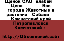 Щенок САО (алабай) › Цена ­ 10 000 - Все города Животные и растения » Собаки   . Камчатский край,Петропавловск-Камчатский г.